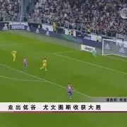 苹果手机-尤文图斯主场-小胜阿贾克斯，C罗锁定胜利的简单介绍