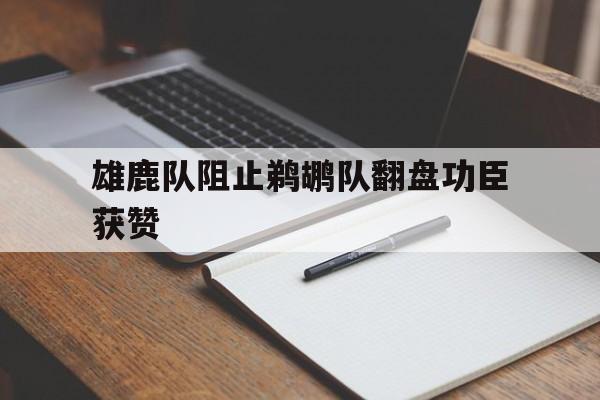 雄鹿队阻止鹈鹕队翻盘功臣获赞的简单介绍