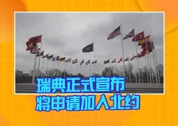 包含瑞典迎战斯洛伐克，胜者将一步登云的词条