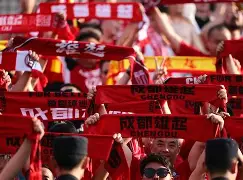 关于西南欧希望成就国誉，上勋绩为球迷了望的信息